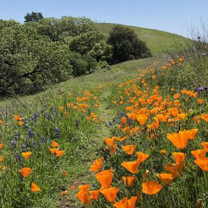 What People Are Saying