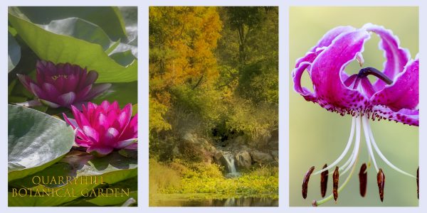 Quarryhill Botanical Garden