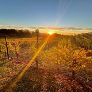 Take 5 with Jack Nature and wellness video shorts