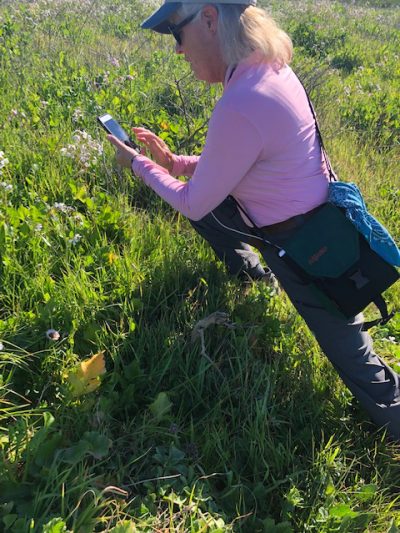 General Admission -$10.00-Jack London BioBlitz