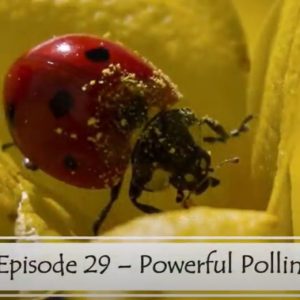 Take 5 with Jack Nature and wellness video shorts