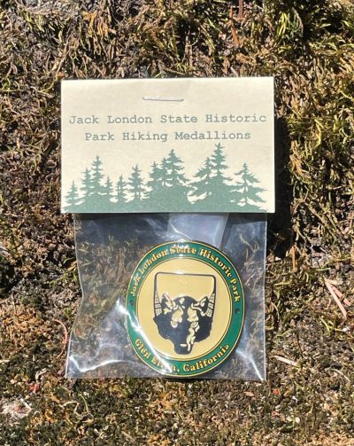 Hiking Stick Medallion