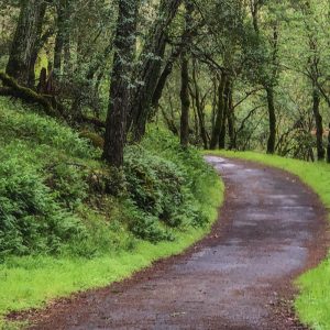 General Admission-Nature on Sonoma Mountain January 29, 2022