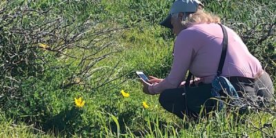 General Admission -$10.00-Introduction to iNaturalist