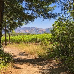 General Admission – Let’s Hike, August 14, 2022