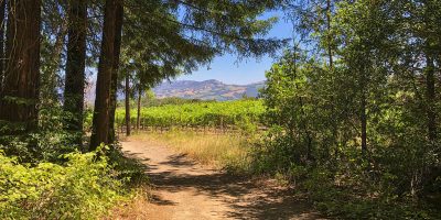 Let's Hike-1