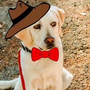 General Pooch Admission – $5 Halloween Walk’n Wag 2025 (parking fee extra)