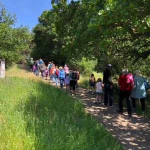 Standards-based School Tours