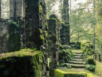 La Casa de Lobo – Caminata Histórica