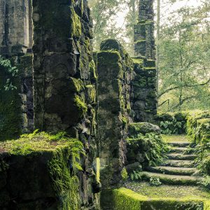 General Admission- $10 Winter Nature Walk to the Wolf House