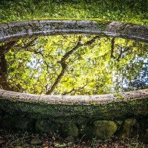 General Admission – Mindful Walk-May 7, 2023