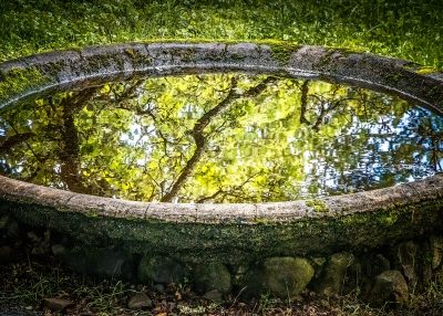 Mindful Walk- May 2023