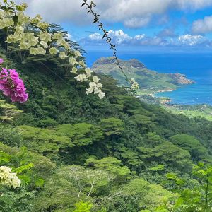 General Admission – $15-Jack London in the South Seas