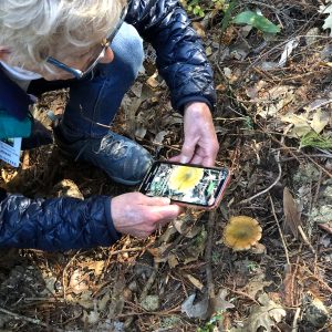 Reservation -Jack London Bioblitz 2023