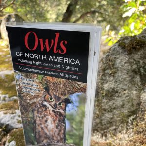 Owls of North America
