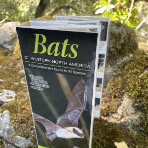 Bats of Western North America