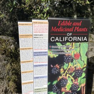 Edible and Medicinal Plants of California