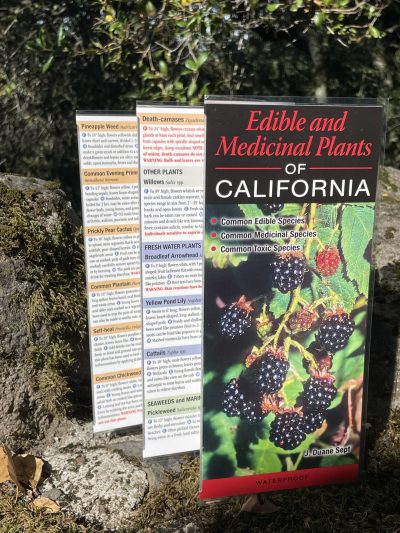 Edible and Medicinal Plants of California