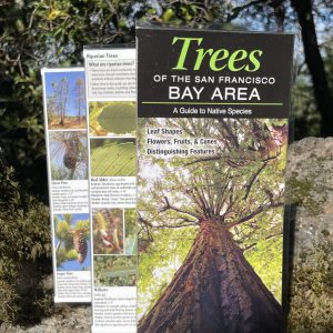 Trees of the San Francisco Bay Area