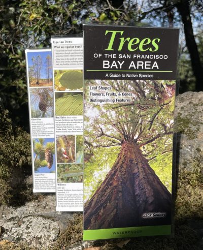 Trees of the San Francisco Bay Area