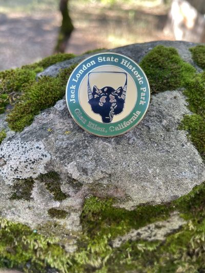 Pin- Wolf Logo