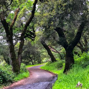 General Admission $10-Winter Hike…rain or shine