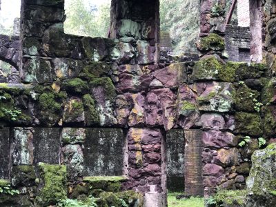 Wolf House Winter Nature Walk February 2024