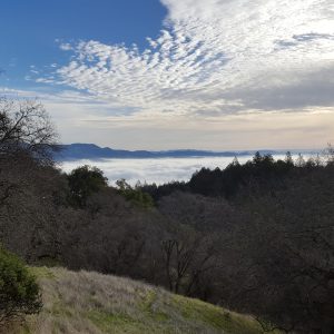 Bay Area Ridge Trail at the Park