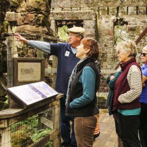 Docent-Guided School Tours