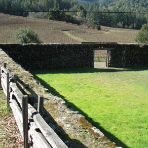The Winery Ruins