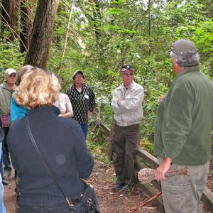 Docent-Guided Tour Schedule
