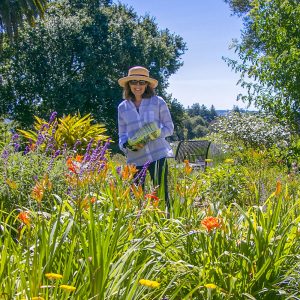 General Admission $15-Cottage Garden Tour