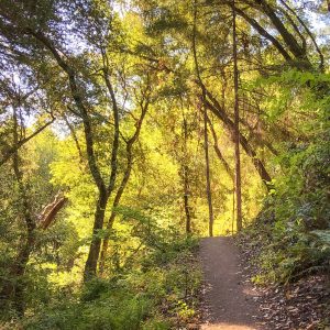 General Admission $10-Perfect Shady Hike-2024 (parking fee extra)