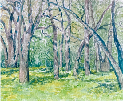 Plein Air Watercolor Landscapes
