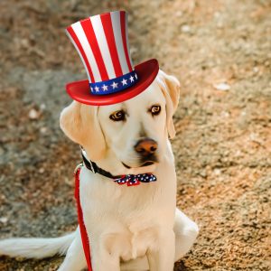 General Pooch Admission – $5 Celebrate With the Dogs ($10 parking fee extra)