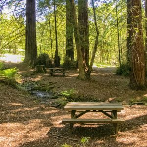 General Admission $10.00- Farewell to Summer Hike (plus parking)