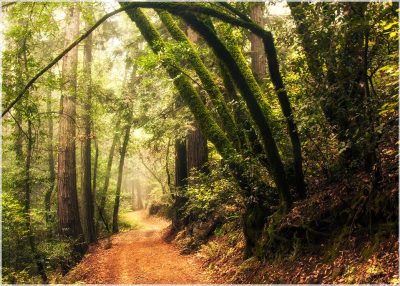 Caminata en Otoño-2024