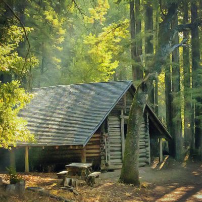 General Admission $10-Discovery Hike Winter 2024