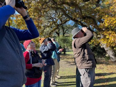 General Admission -$10.00- Identifying Winter Birds 2025