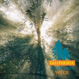 Reservation – Grounded in Nature: A Mindful Walk – State Parks Week 2025 Event