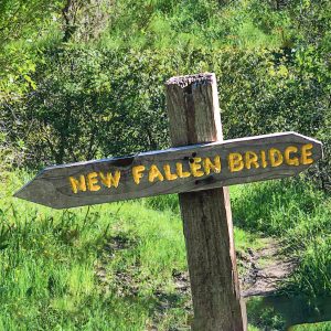 General Admission – $15.00 Memorial Day Hike