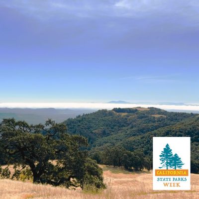 Arriba & Beyond: A Bilingual Summit Hike