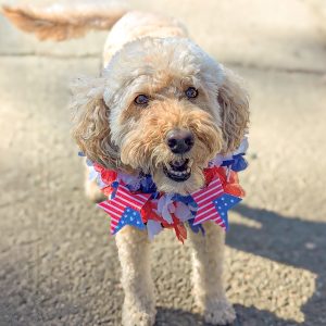 General Pooch Admission – $5 (per dog) Celebrate With the Dogs ($10 parking fee extra)