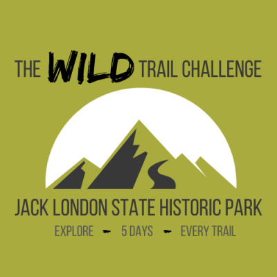 The WILD Trail Challenge 2025