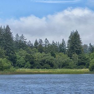 General Admission -$10.00 Fern Lake Loop hike