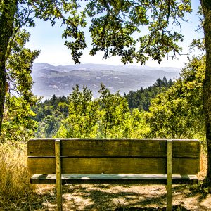 General Admission $10.00-Hike to the Summit of the Park