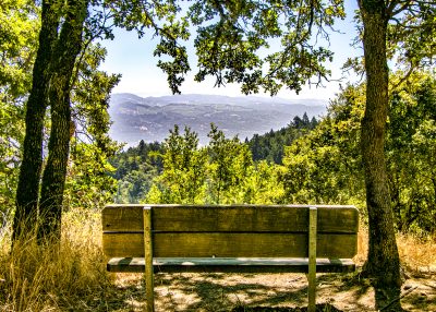 General Admission $10.00-Hike to the Summit of the Park