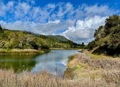 Entre Bosques y Lagos