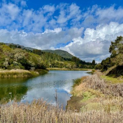 Entre Bosques y Lagos
