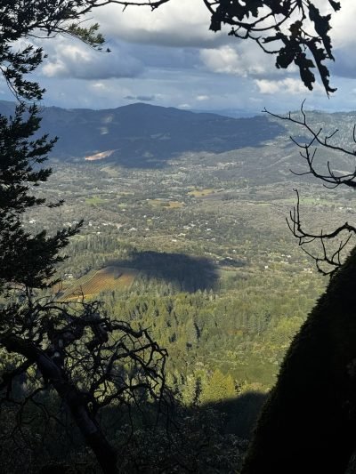 El Sur del Parque: Trap Trail